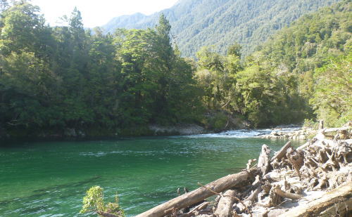Moeraki River