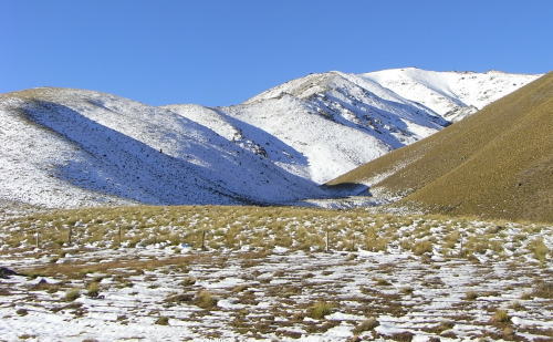 冬の丘